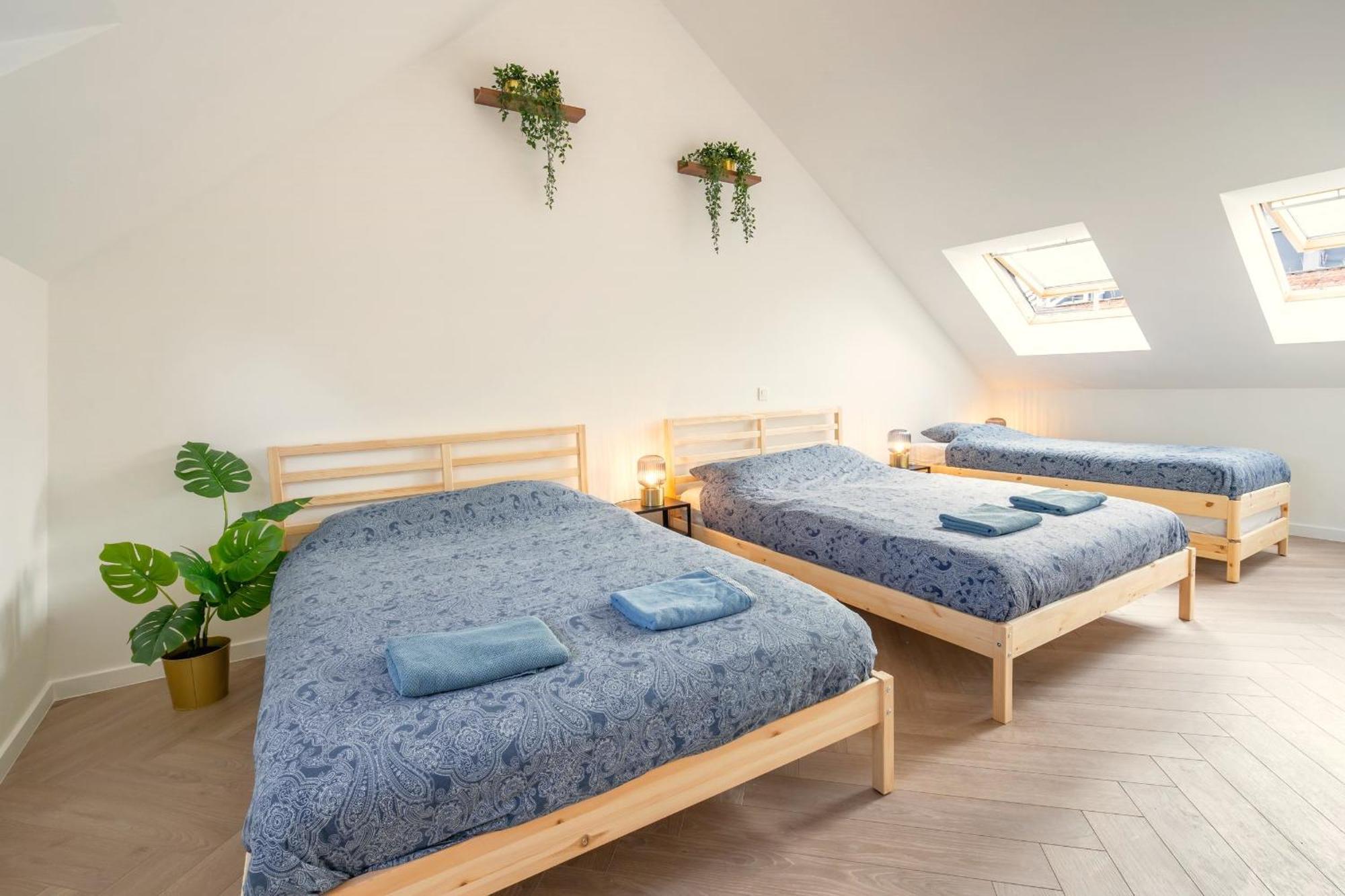 Appartement Loft *