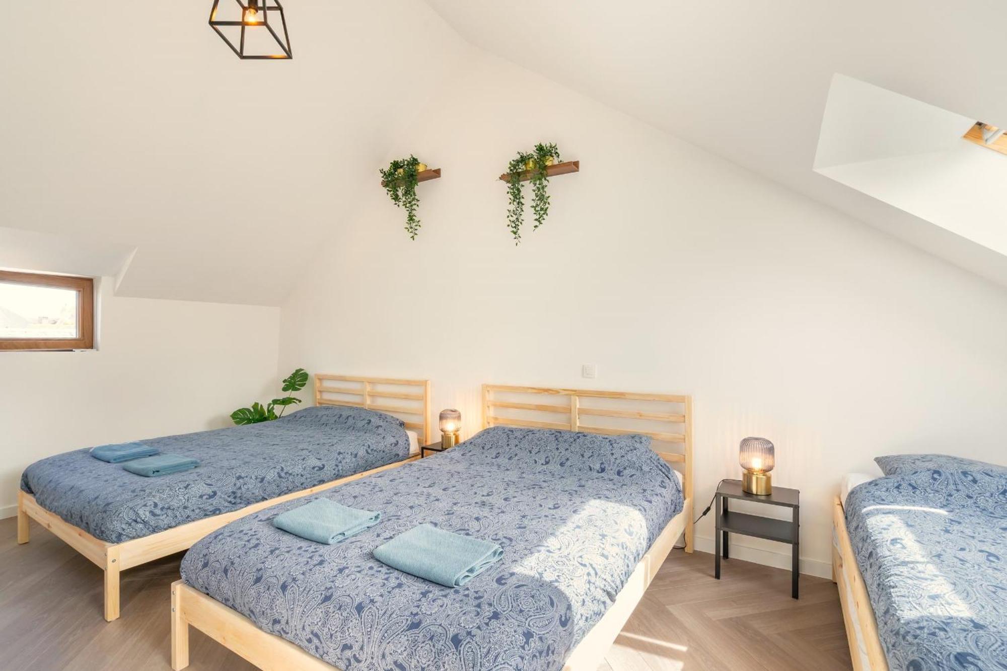 Loft * Anversa